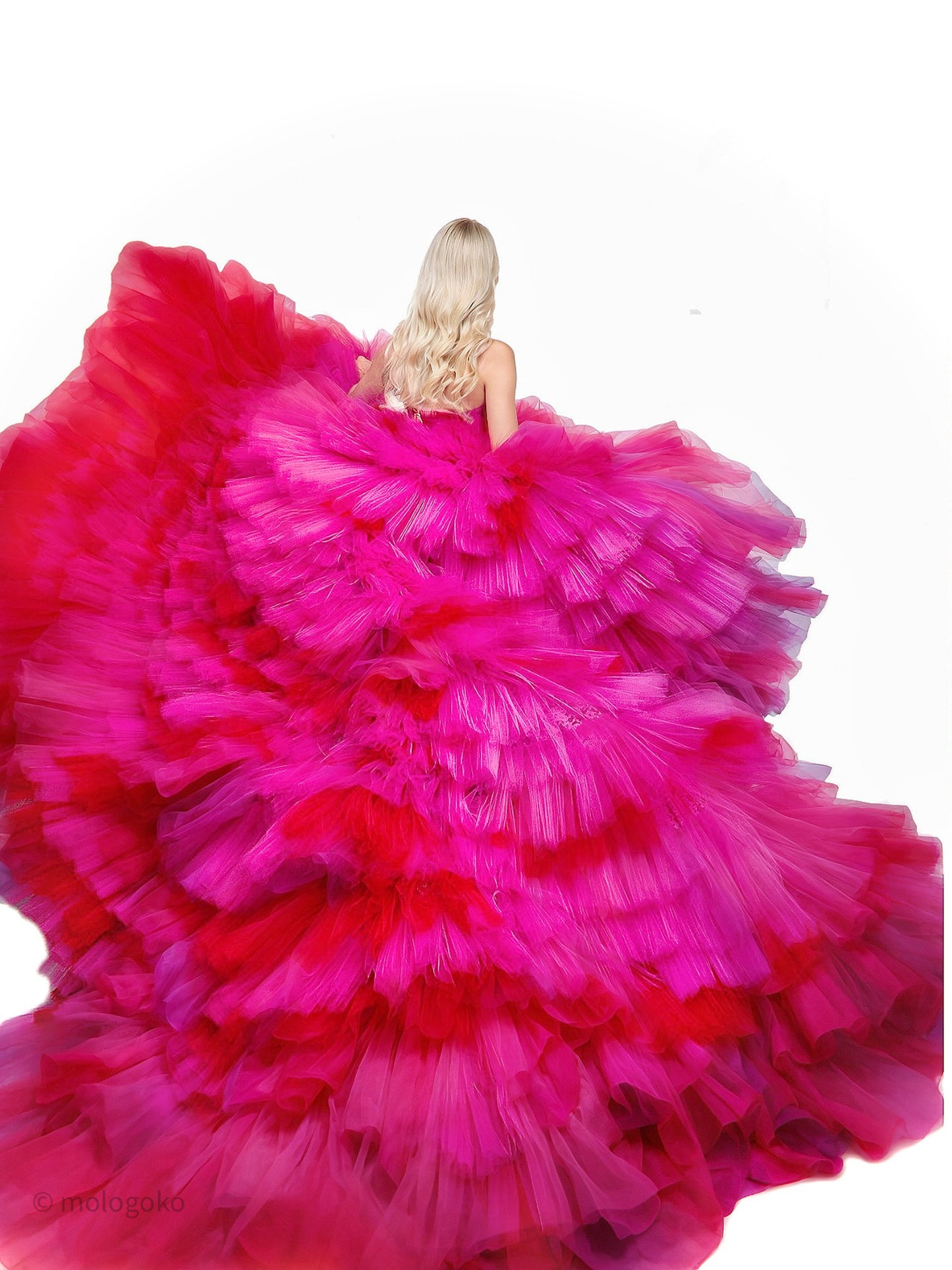 CINDY BALL GOWN OUTFIT One of a Kind