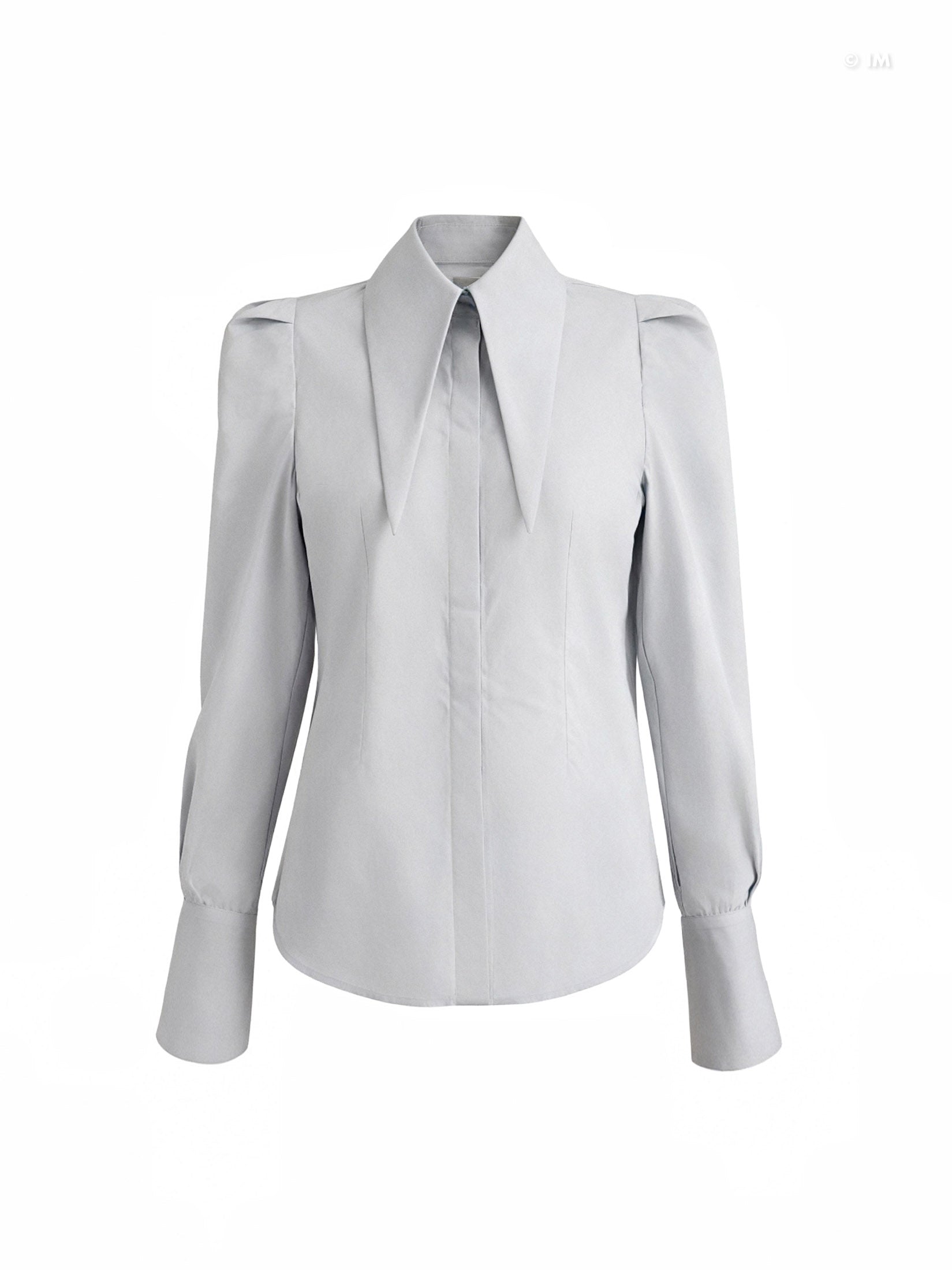 Large Pointy Collar Long Sleeves Fitted Shirt