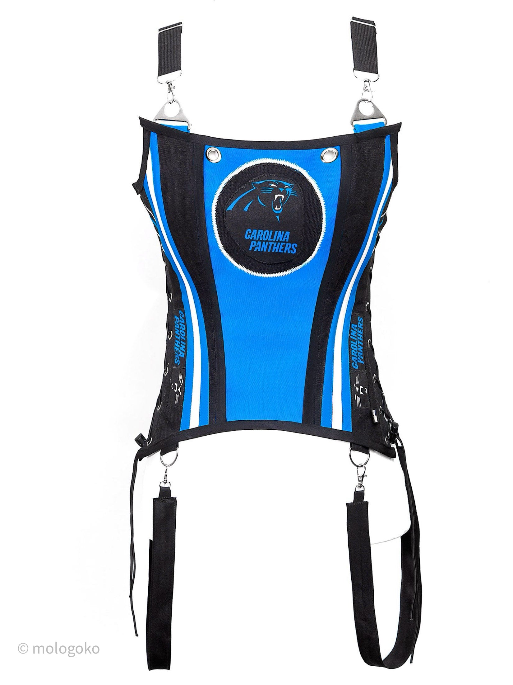 Carolina Panthers Football Team Corset Bustier Top