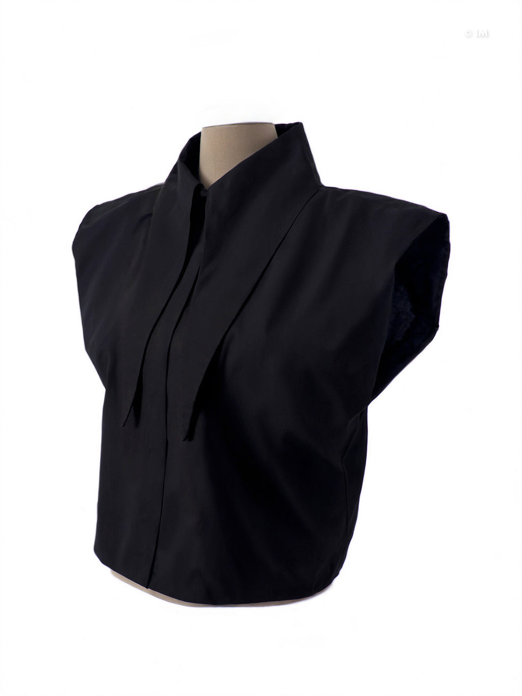 Large Pointy Collar Crop Top