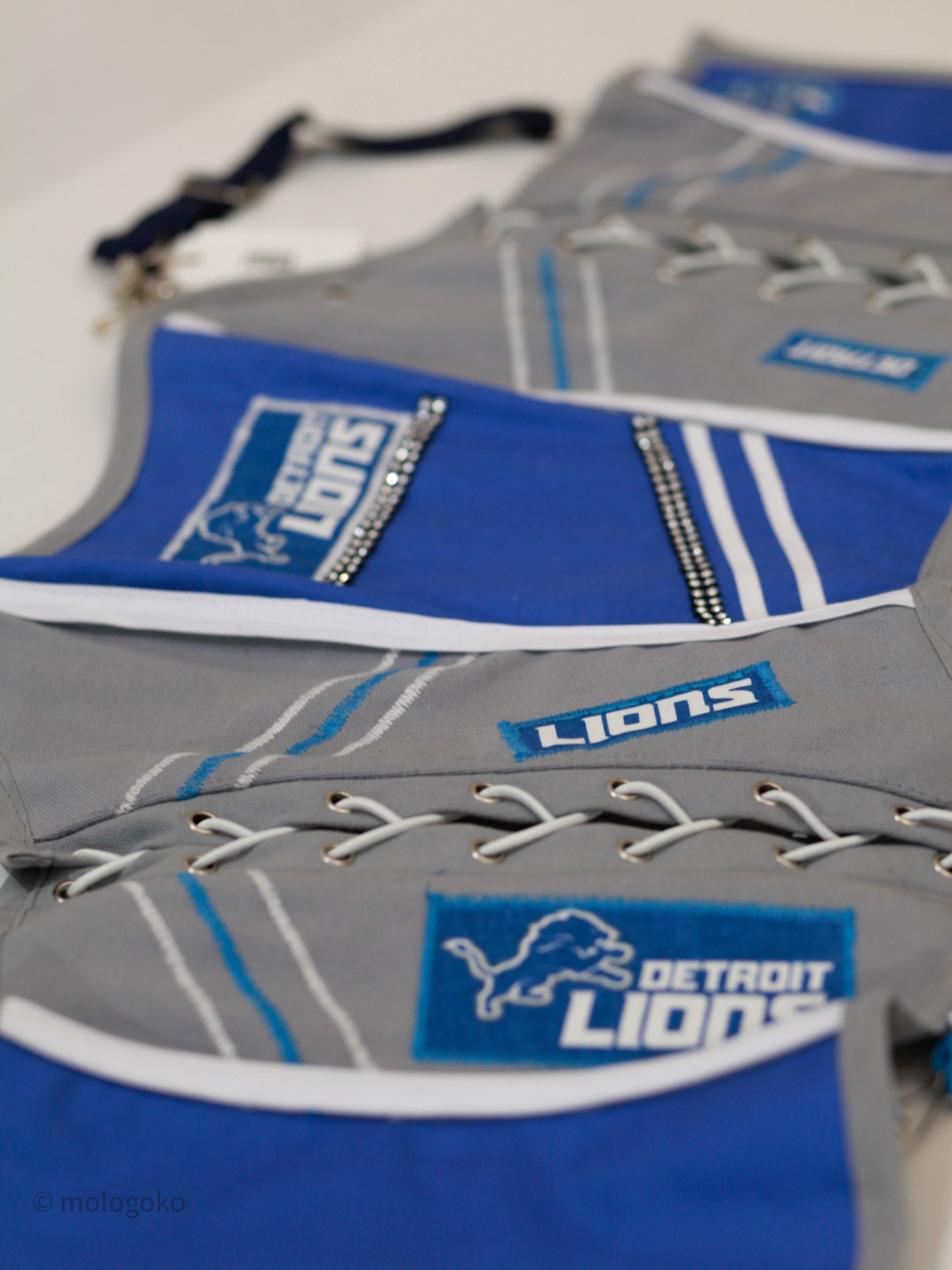 DETROIT LIONS Football Team Fan Corset