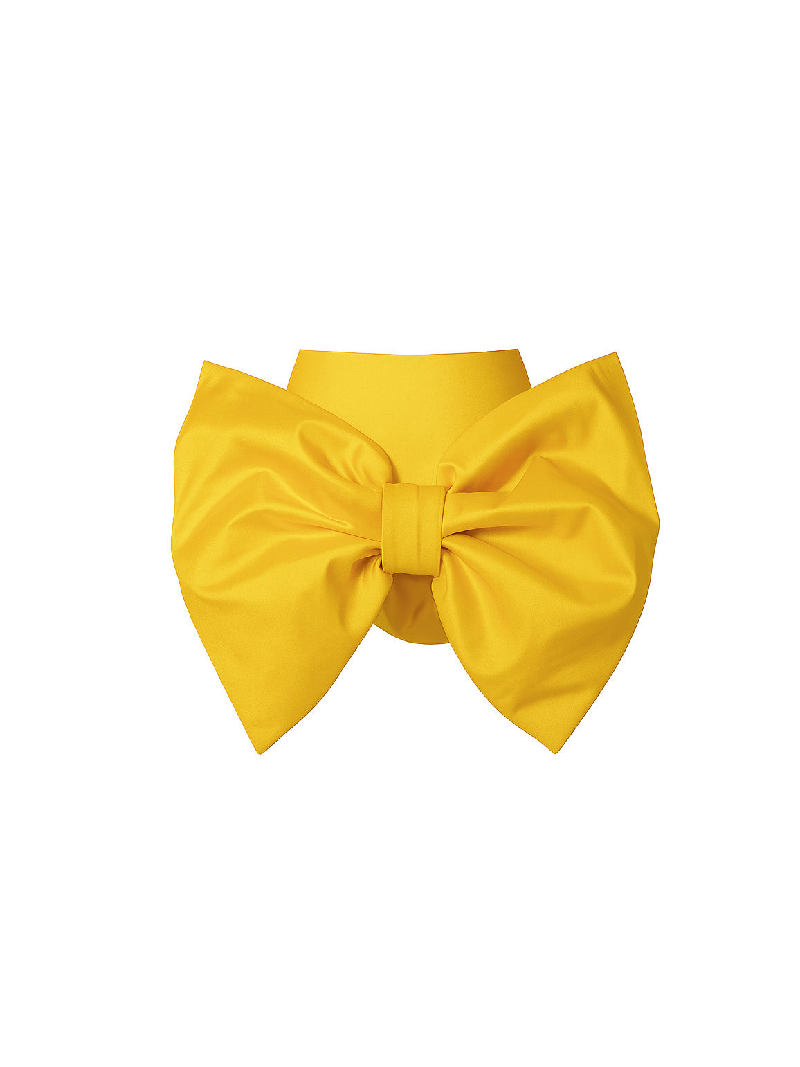 Big Bow Corseted Belt Mini Skirt