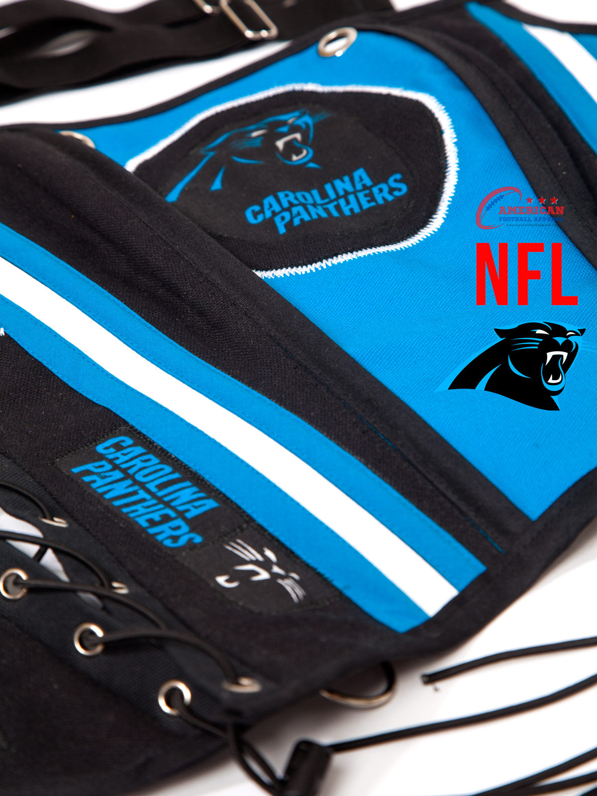 Carolina Panthers Football Team Corset Bustier Top