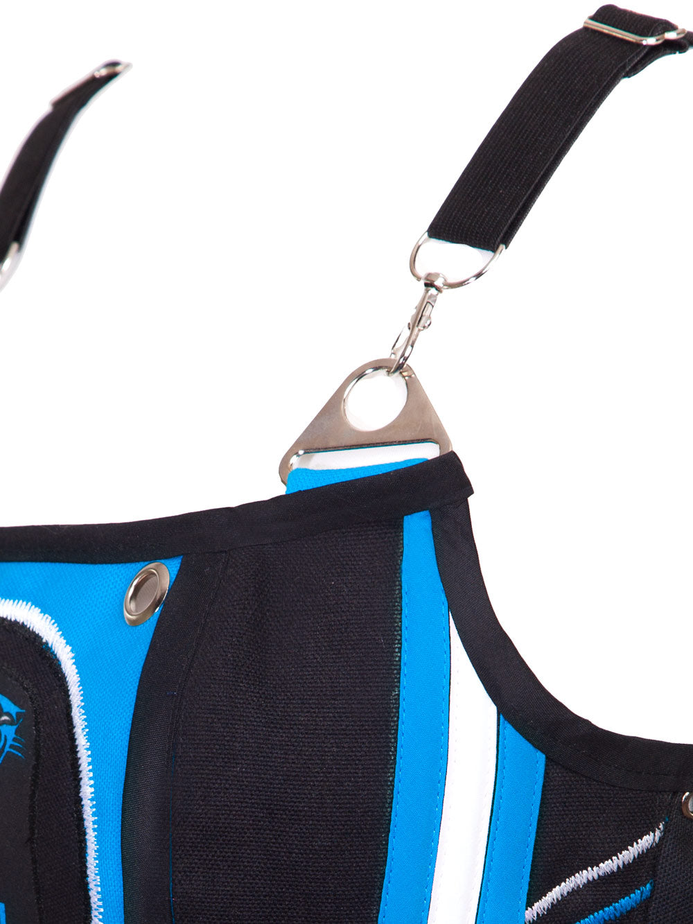 Carolina Panthers Football Team Corset Bustier Top