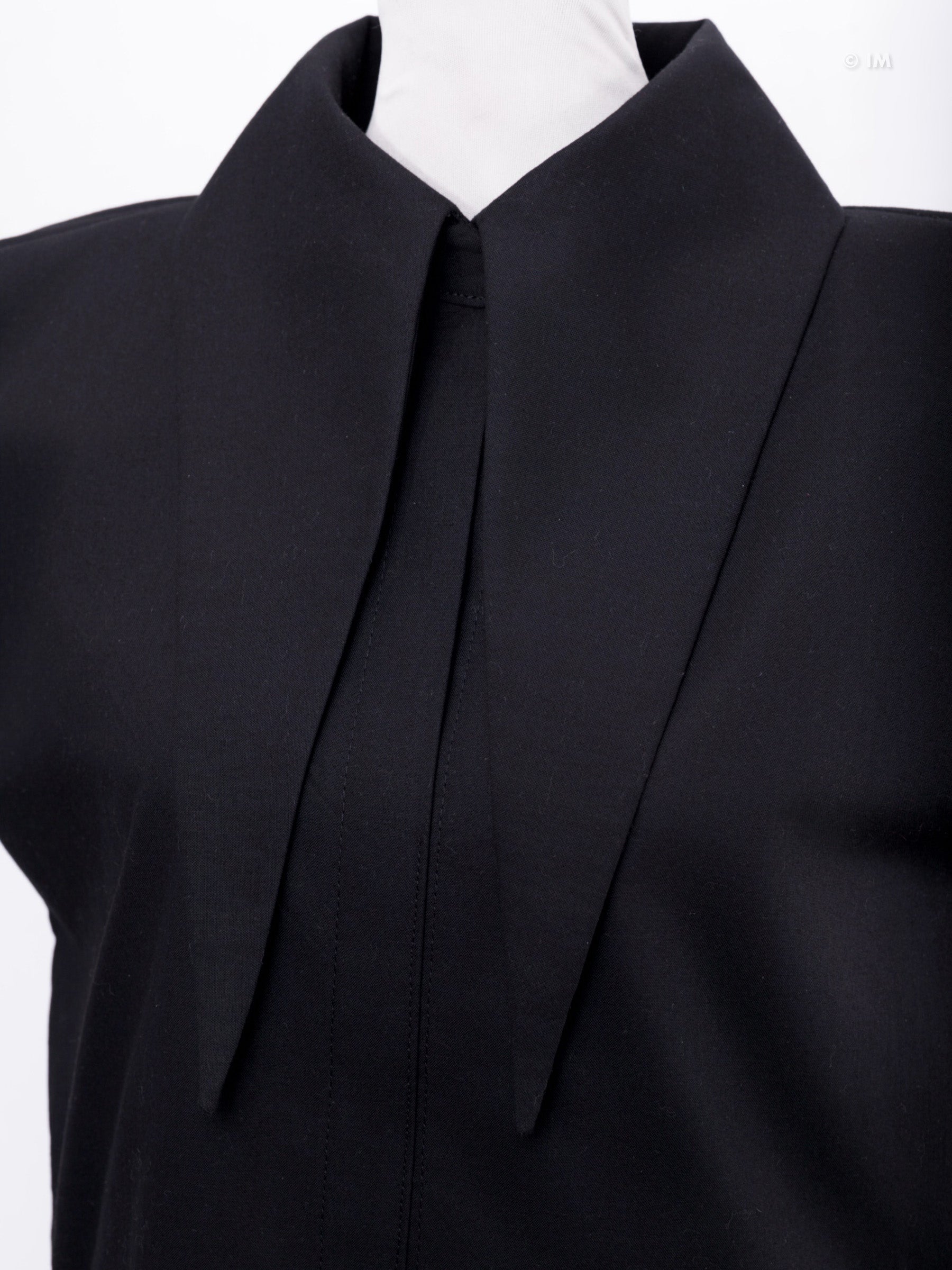 Large Pointy Collar Crop Top