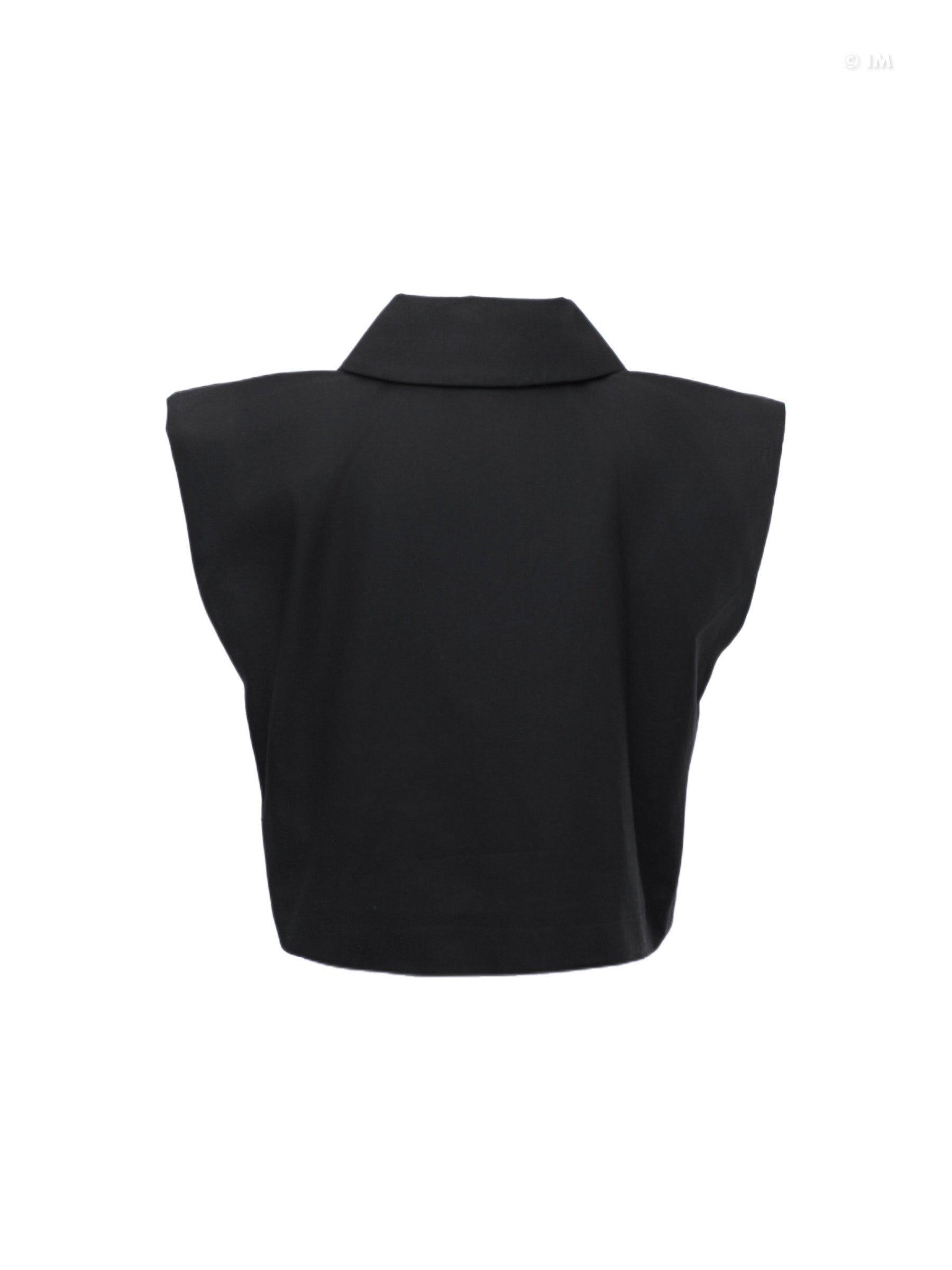 Large Pointy Collar Crop Top