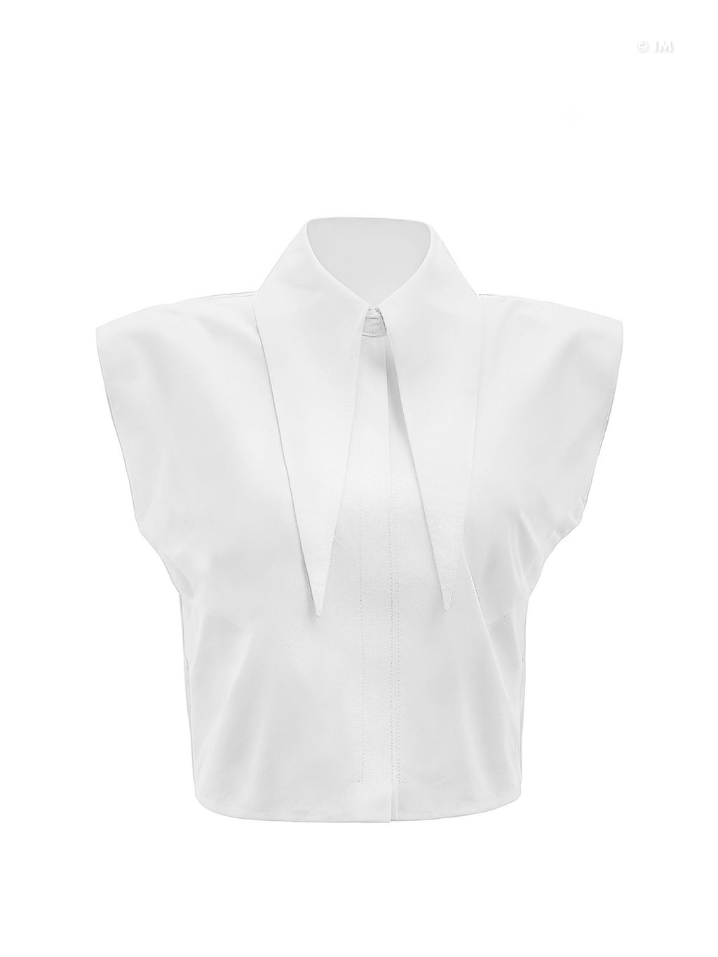 Large Pointy Collar Crop Top