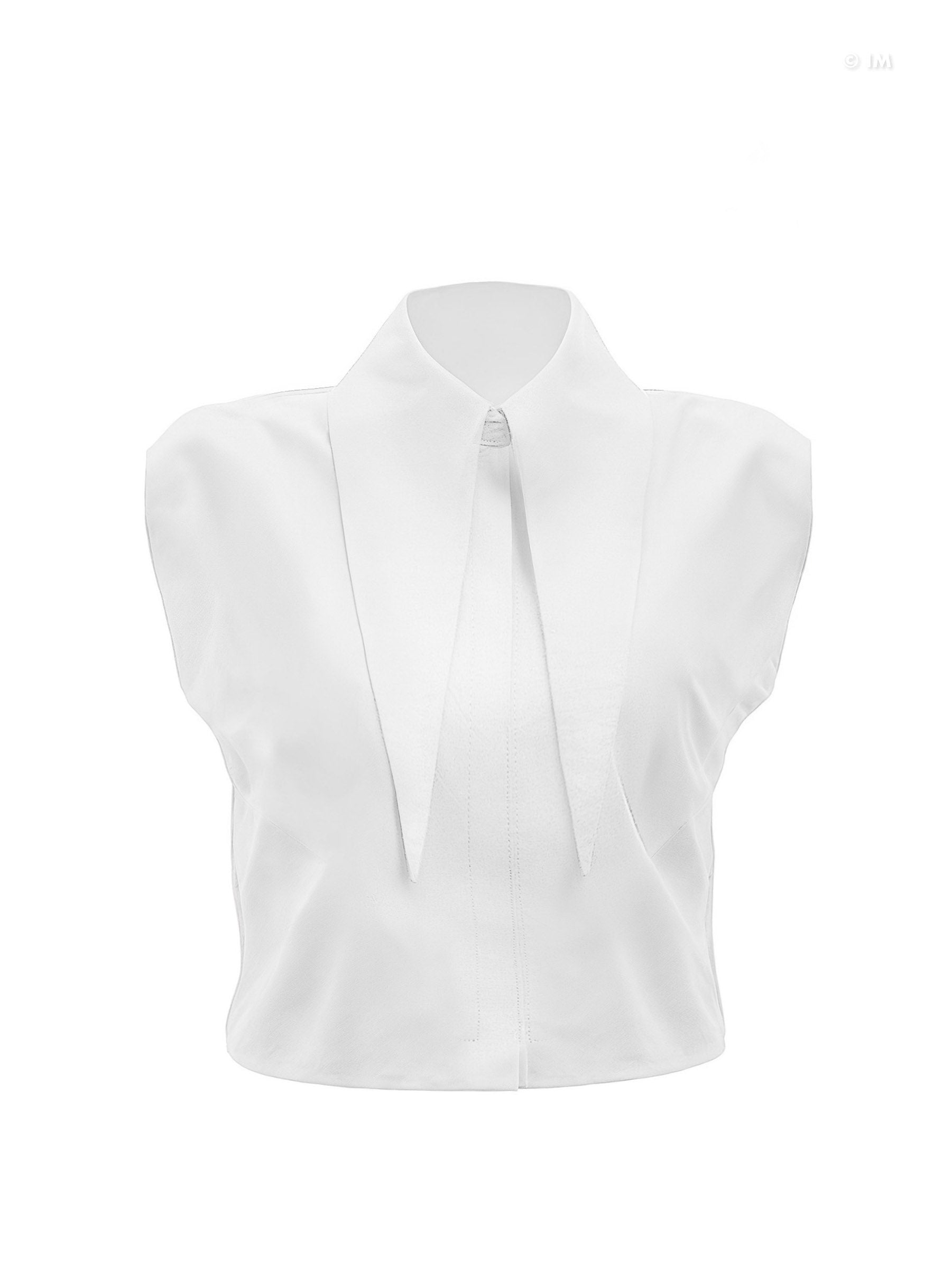 Large Pointy Collar Crop Top