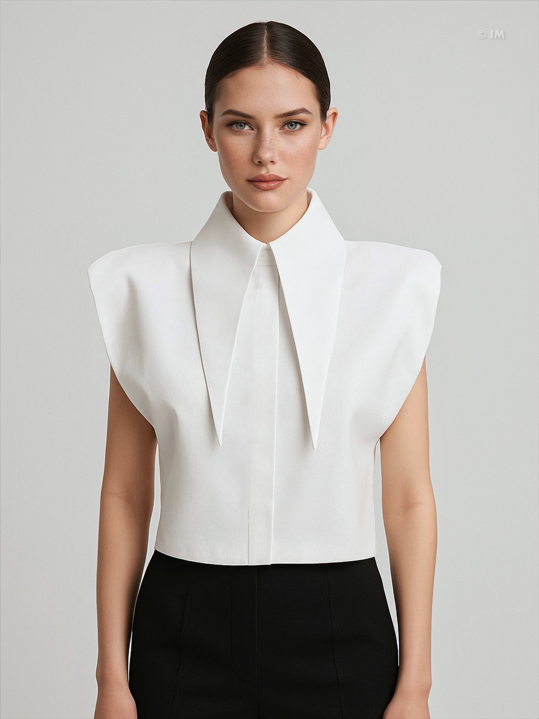 Large Pointy Collar Crop Top