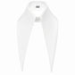 Large Removable Pointy Collar