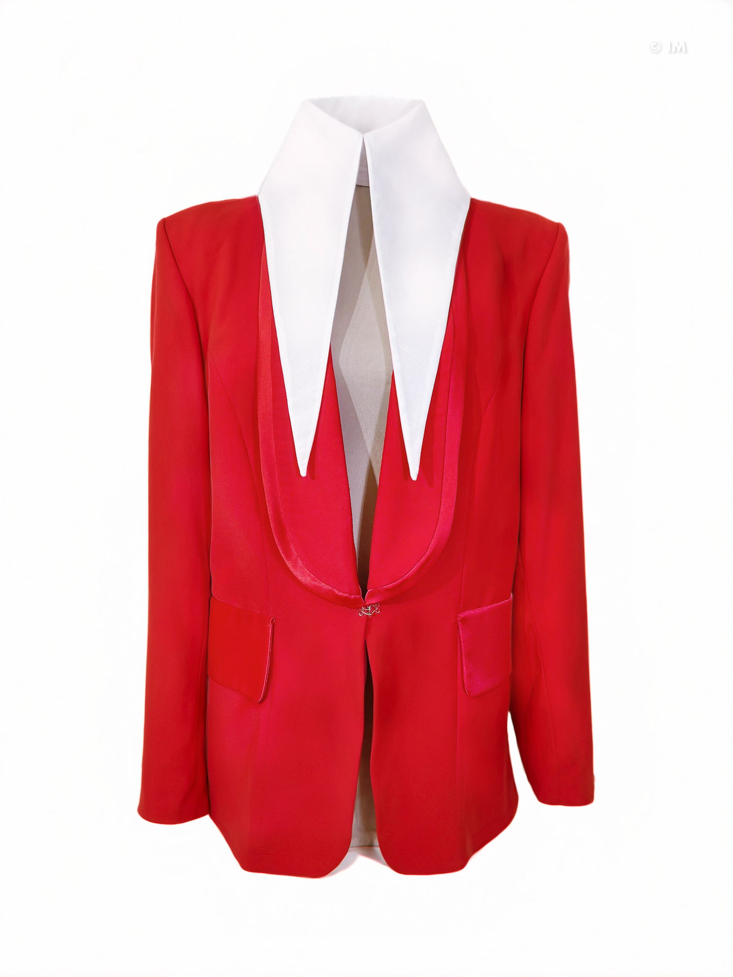Large Removable Pointy Collar