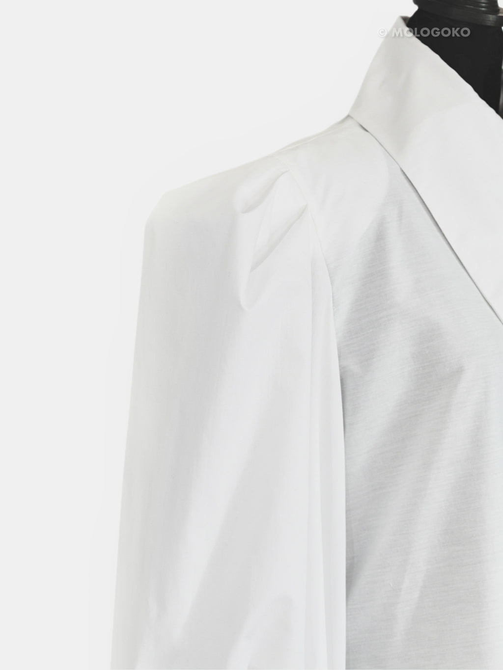 Large Pointy Collar Statement Sleeves Shirt