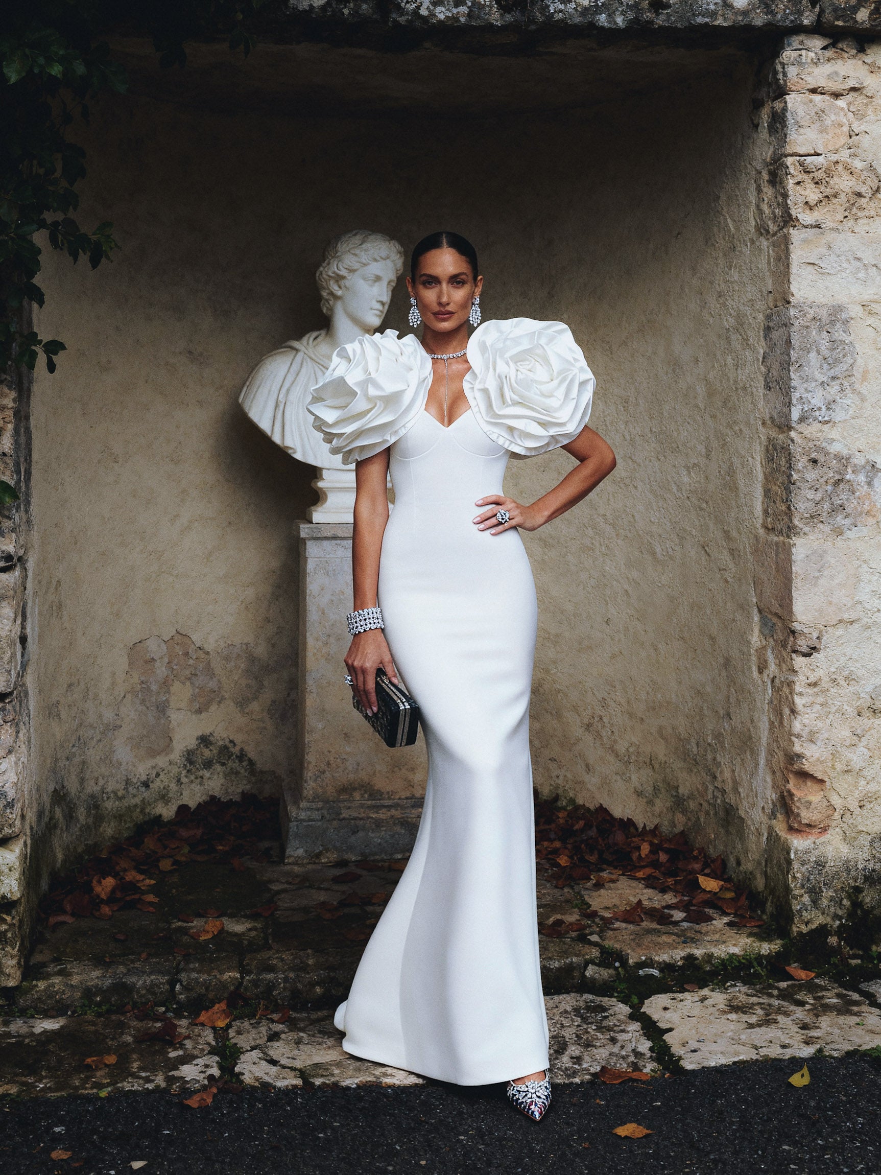 Larger Roses Shoulder Statement Cover