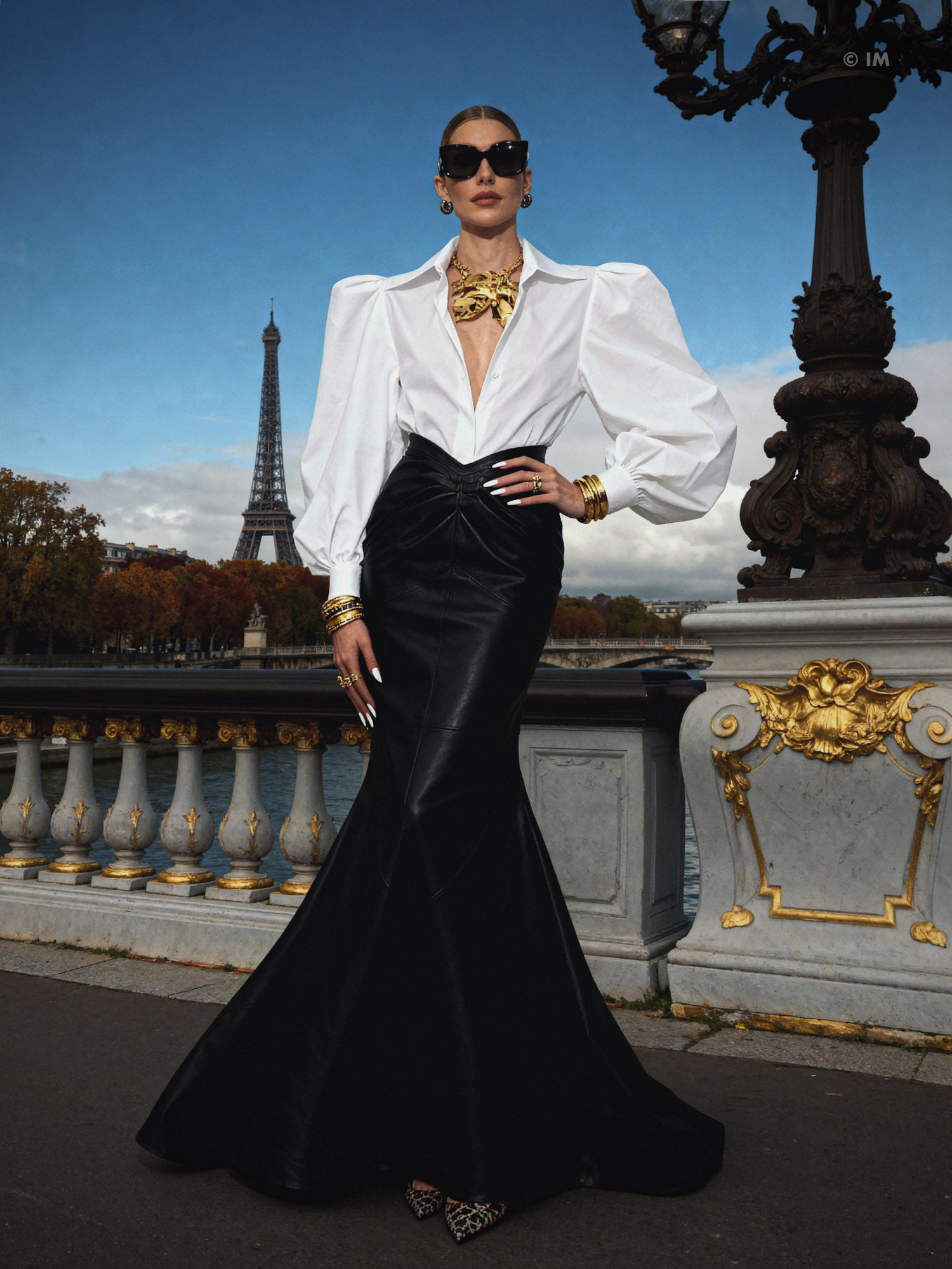 Large Pointy Collar Statement Sleeves Shirt