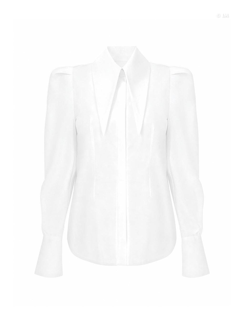 Large Pointy Collar Long Sleeves Fitted Shirt