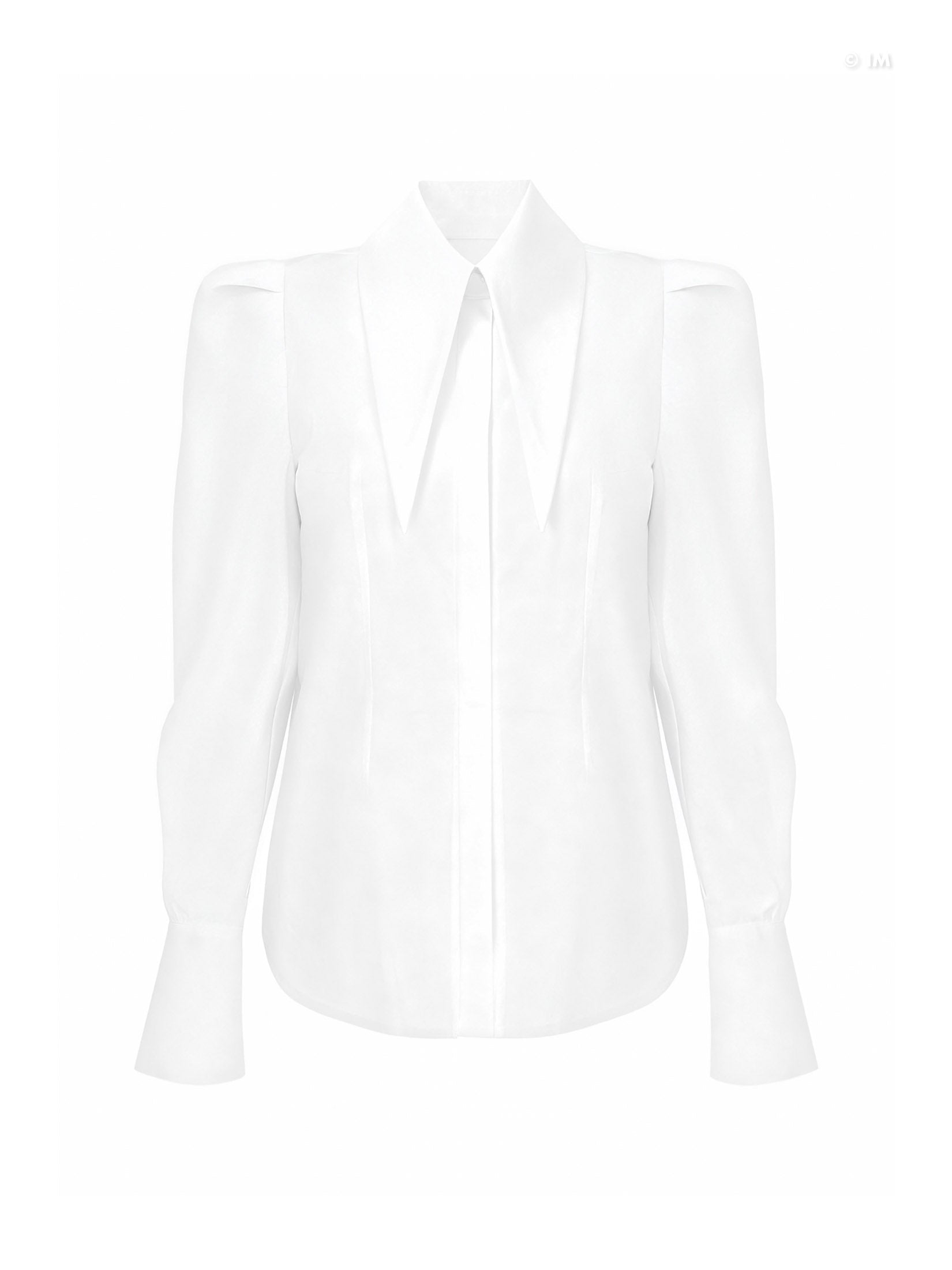 Large Pointy Collar Long Sleeves Fitted Shirt