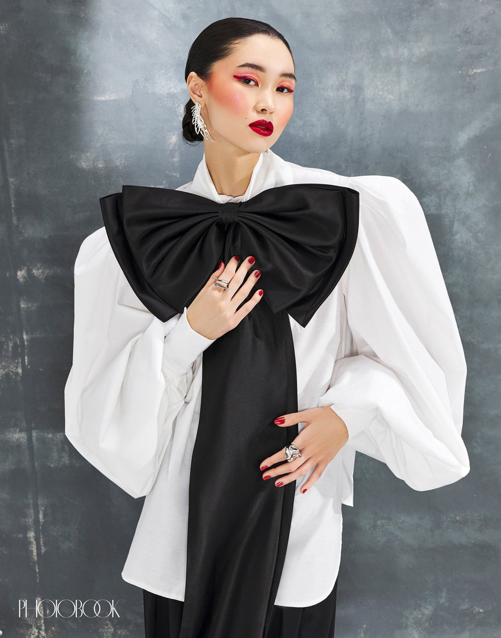 Large Pointy Collar Statement Sleeves Shirt