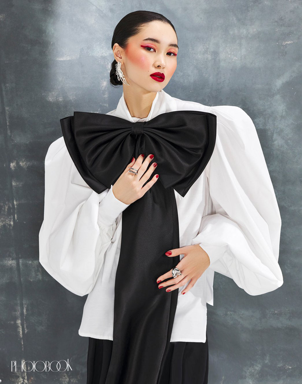 Large Pointy Collar Statement Sleeves Shirt