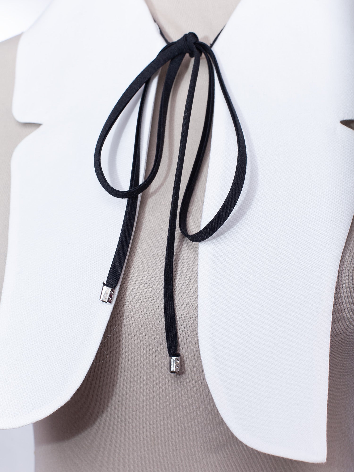 Butterfly Detachable Collar