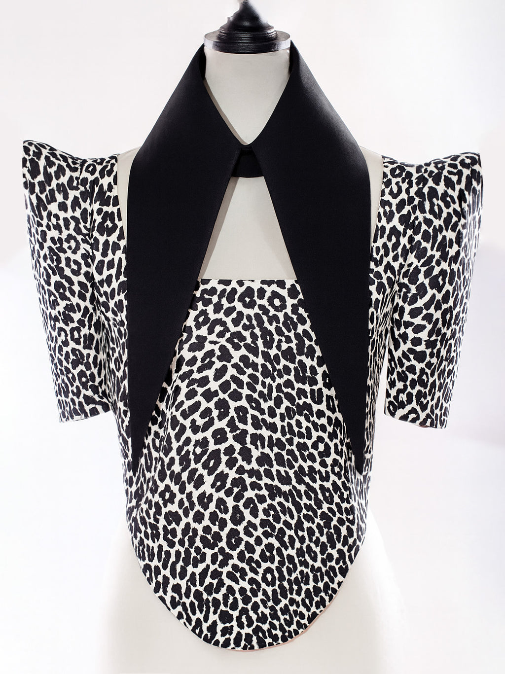 Large Removable Pointy Collar