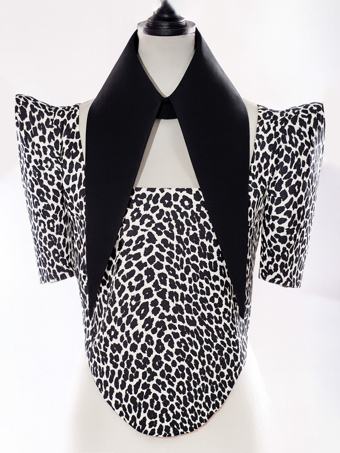 Large Removable Pointy Collar