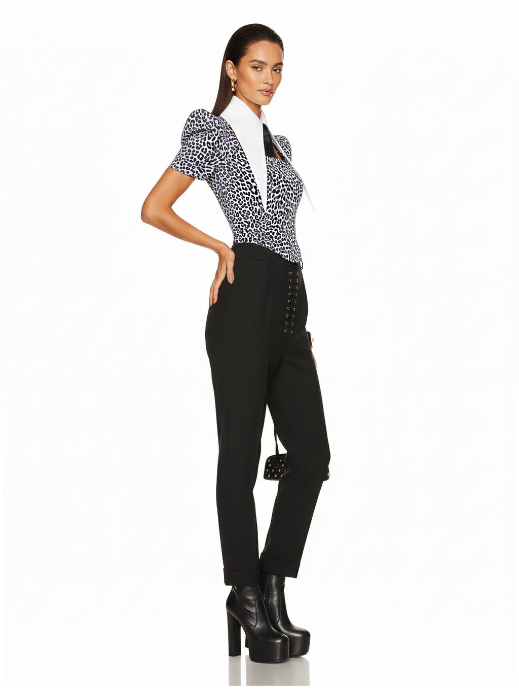 Large Removable Pointy Collar