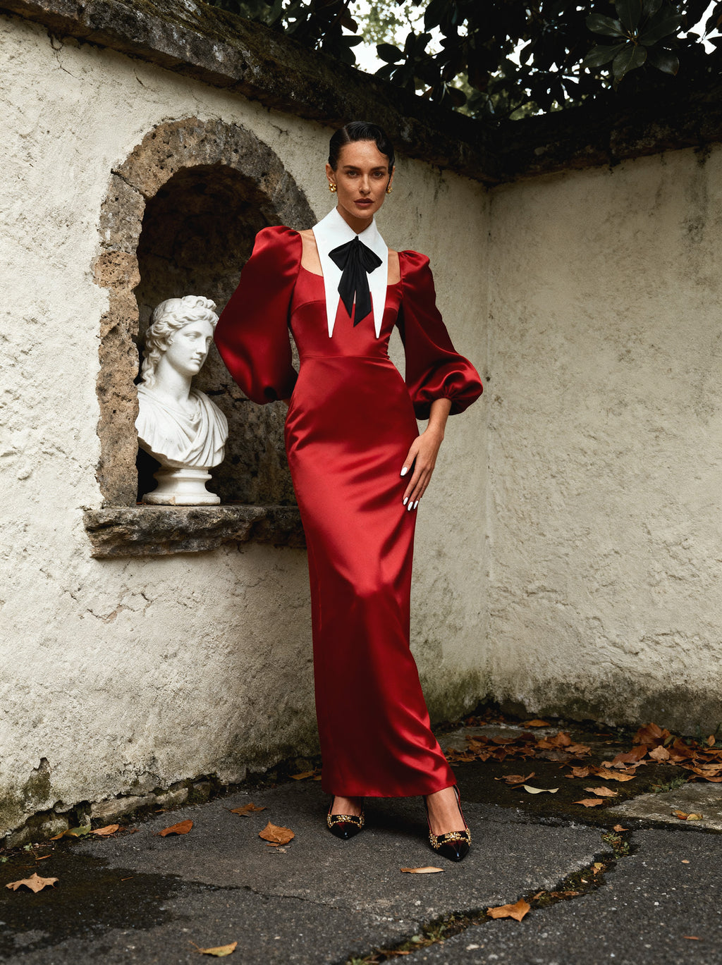 Large Removable Pointy Collar