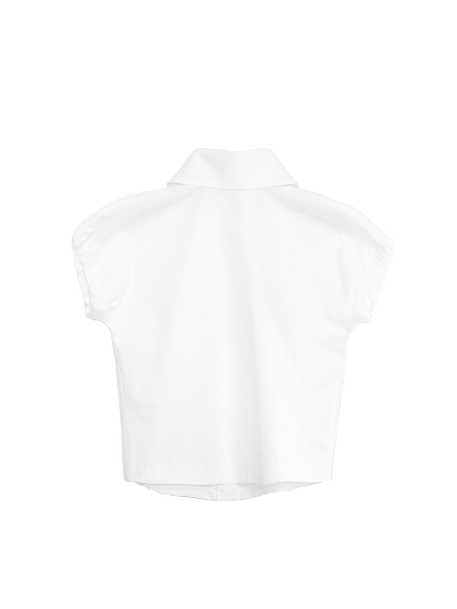 Large Pointy Collar Crop Top
