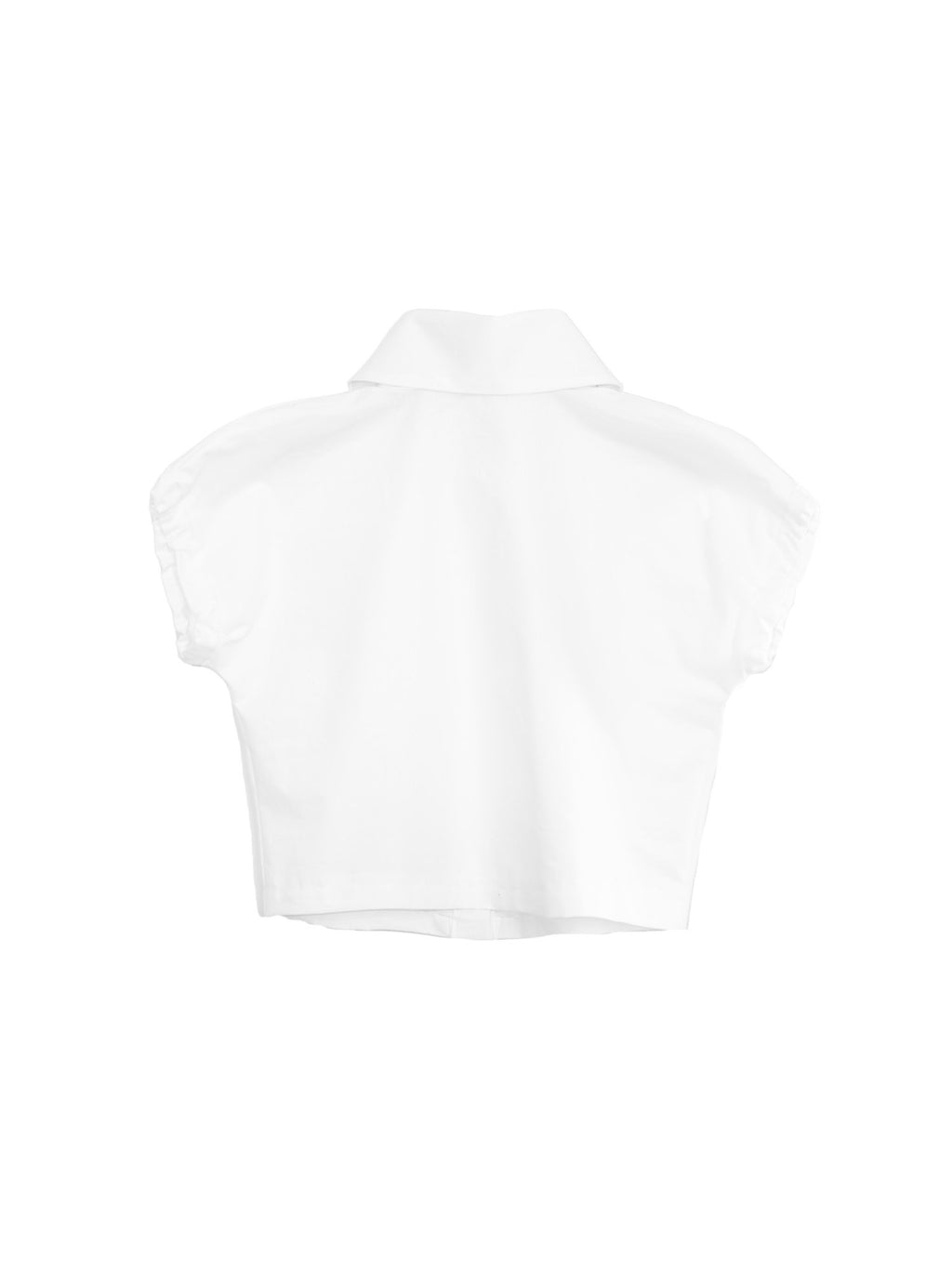 Large Pointy Collar Crop Top
