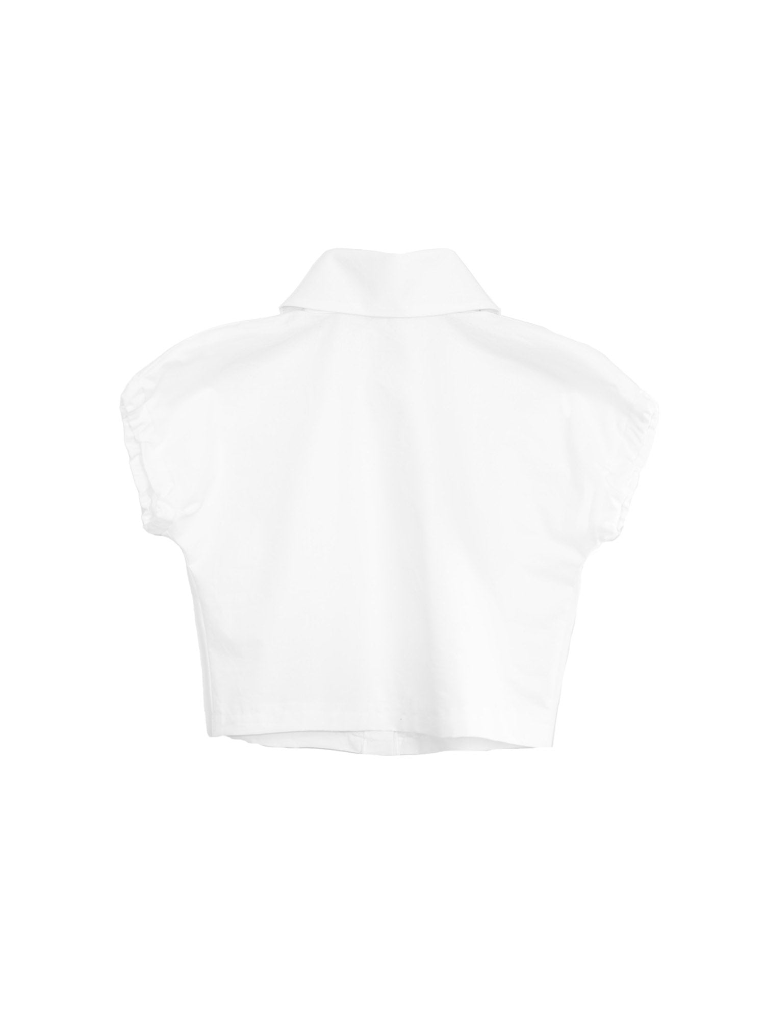 Large Pointy Collar Crop Top