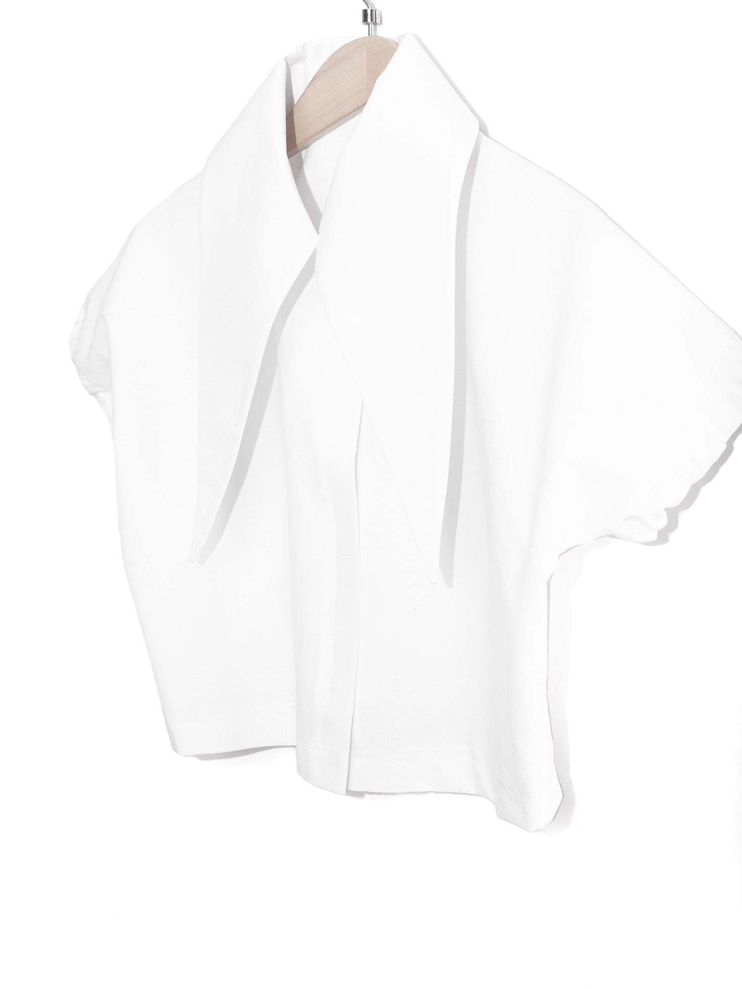 Large Pointy Collar Crop Top