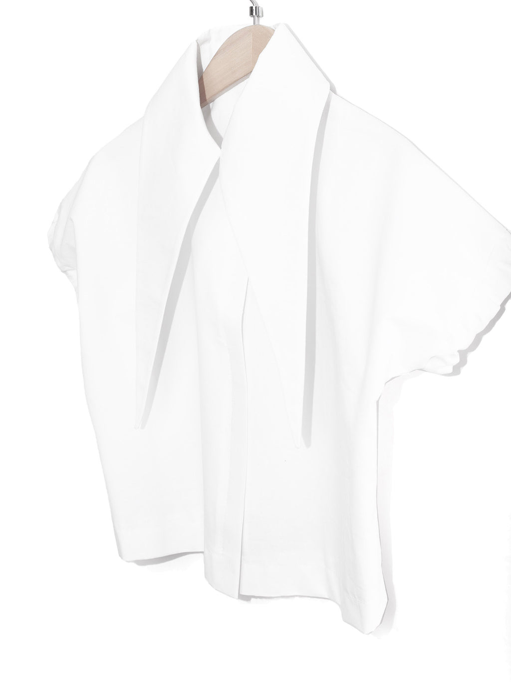 Large Pointy Collar Crop Top