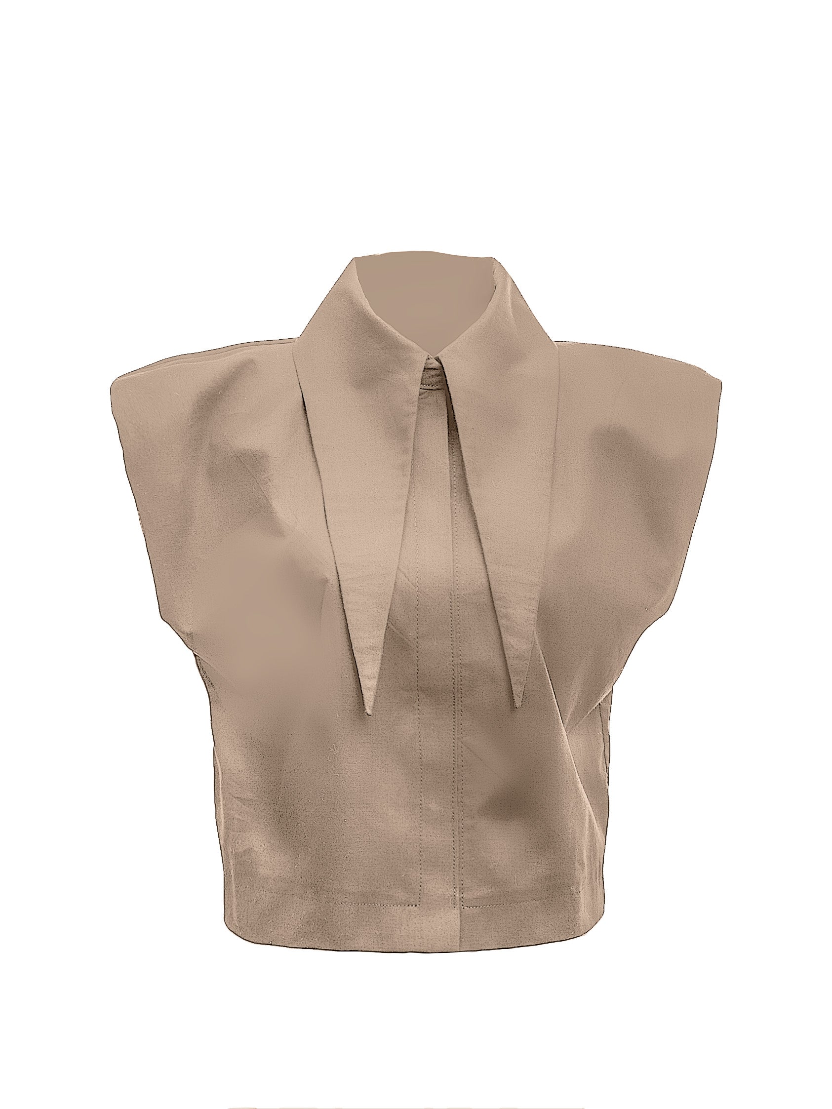 Large Pointy Collar Crop Top