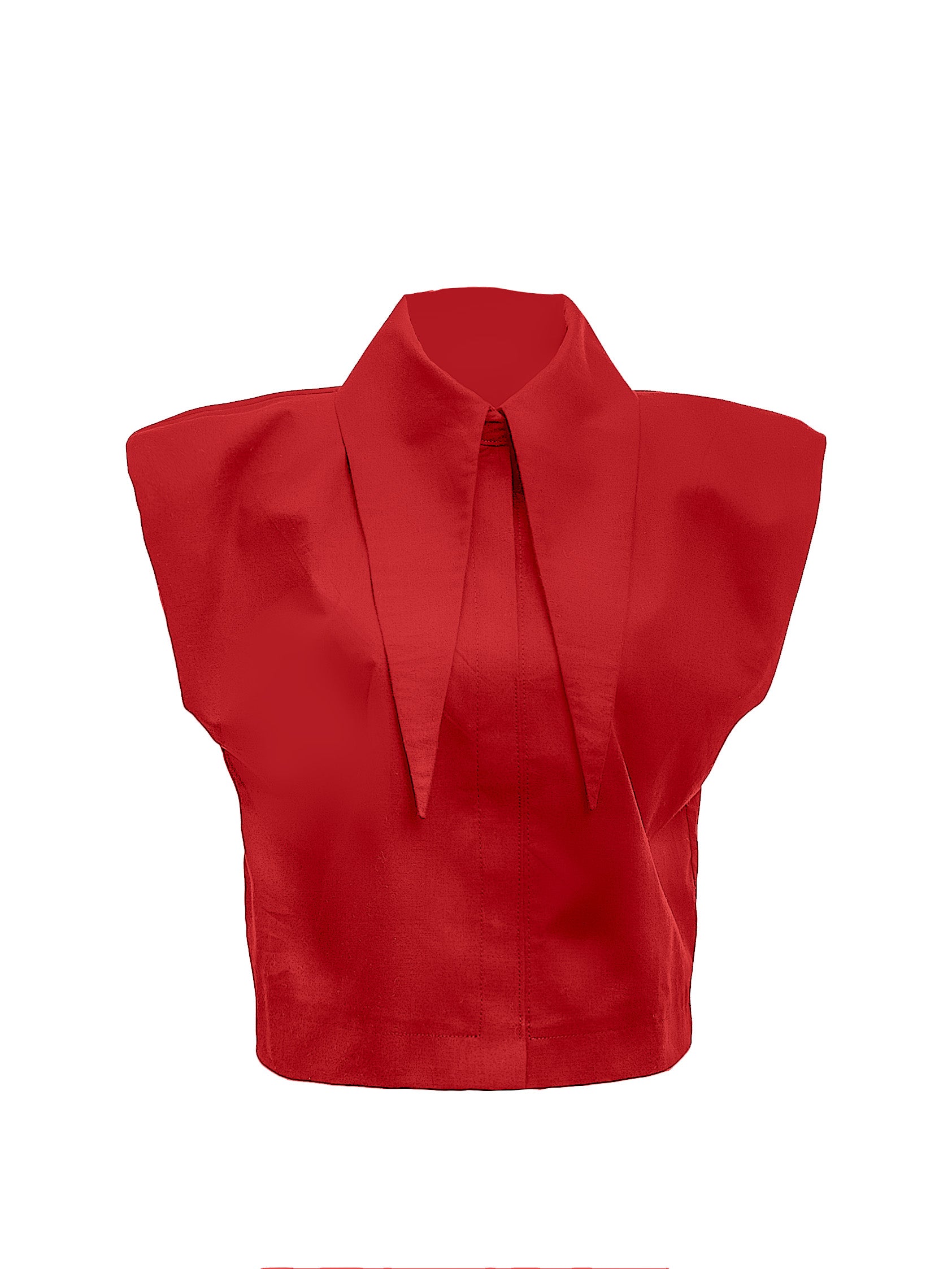 Large Pointy Collar Crop Top