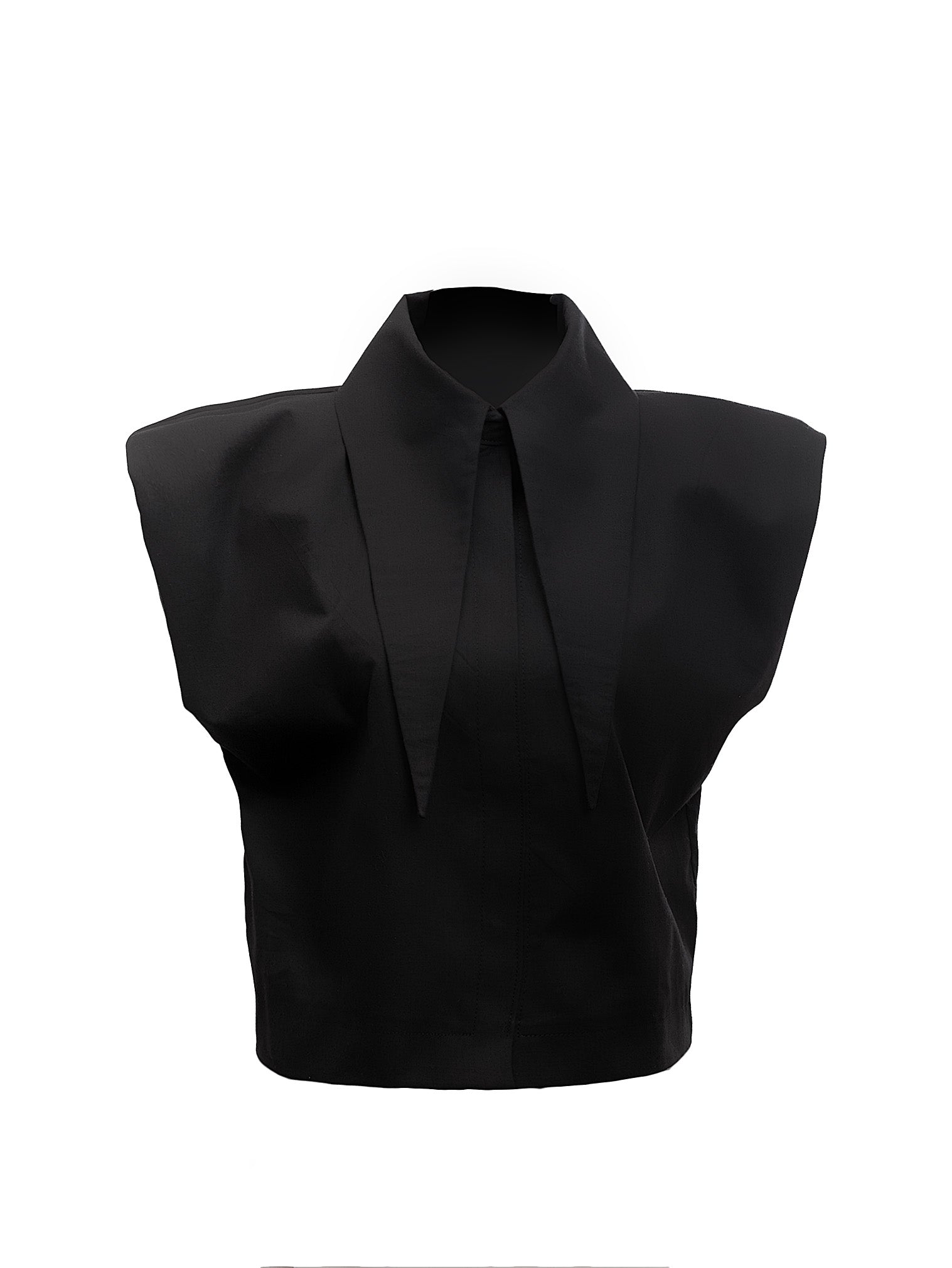 Large Pointy Collar Crop Top