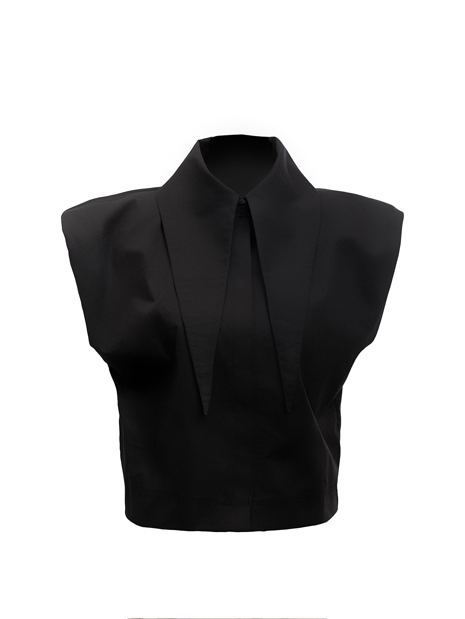 Large Pointy Collar Crop Top