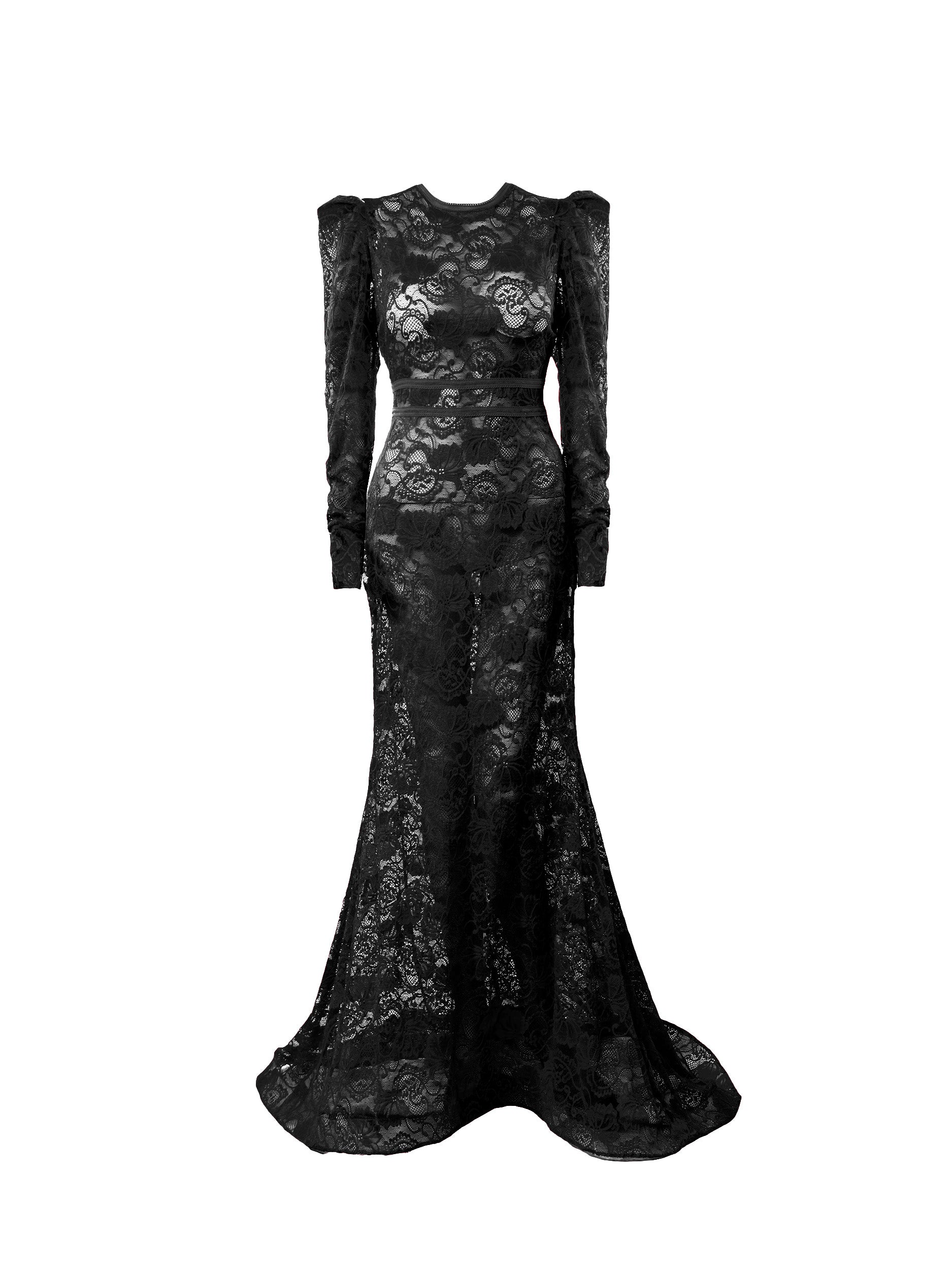 Basic Evening Lace Semi Sheer Mermaid Style Dress