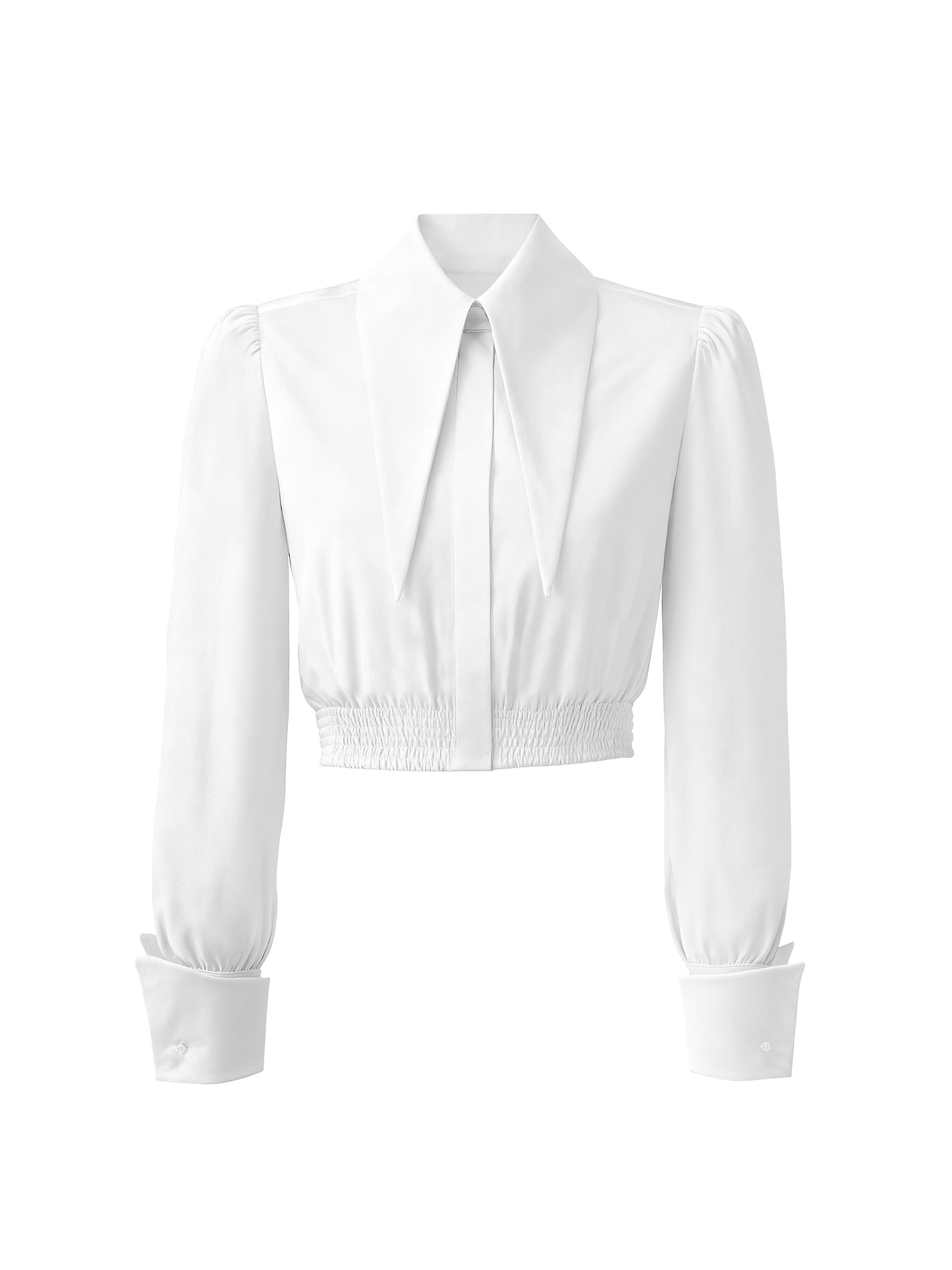 Large Pointy Collar Long Sleeves Crop Top Shirt