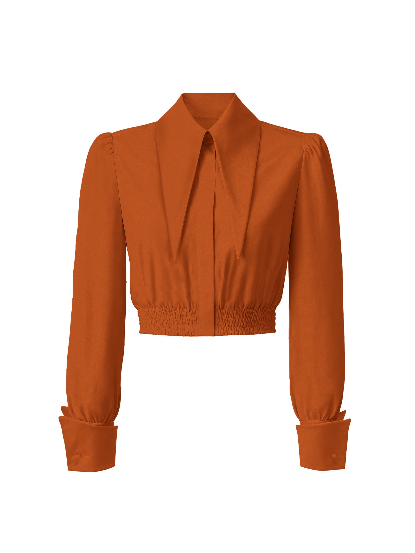 Large Pointy Collar Long Sleeves Crop Top Shirt