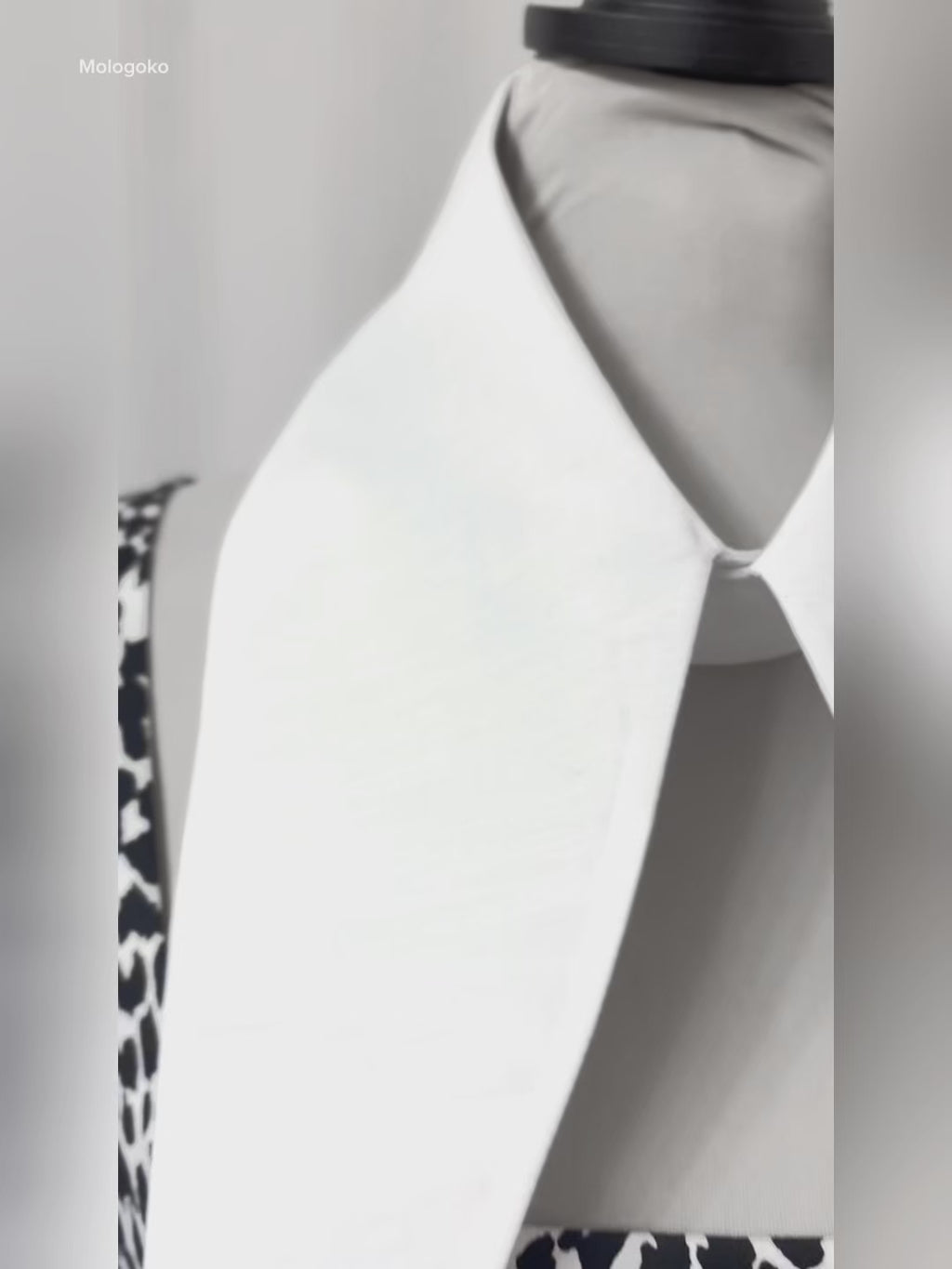 Large Removable Pointy Collar