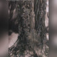 Black Swan Red Carpet Style Goth Gown Set
