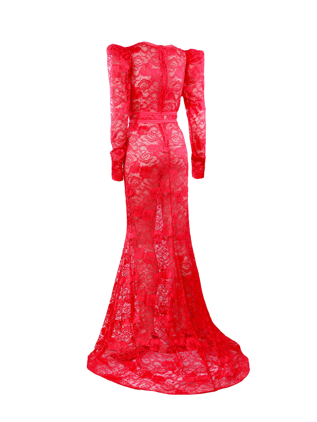 Basic Evening Lace Semi Sheer Mermaid Style Dress