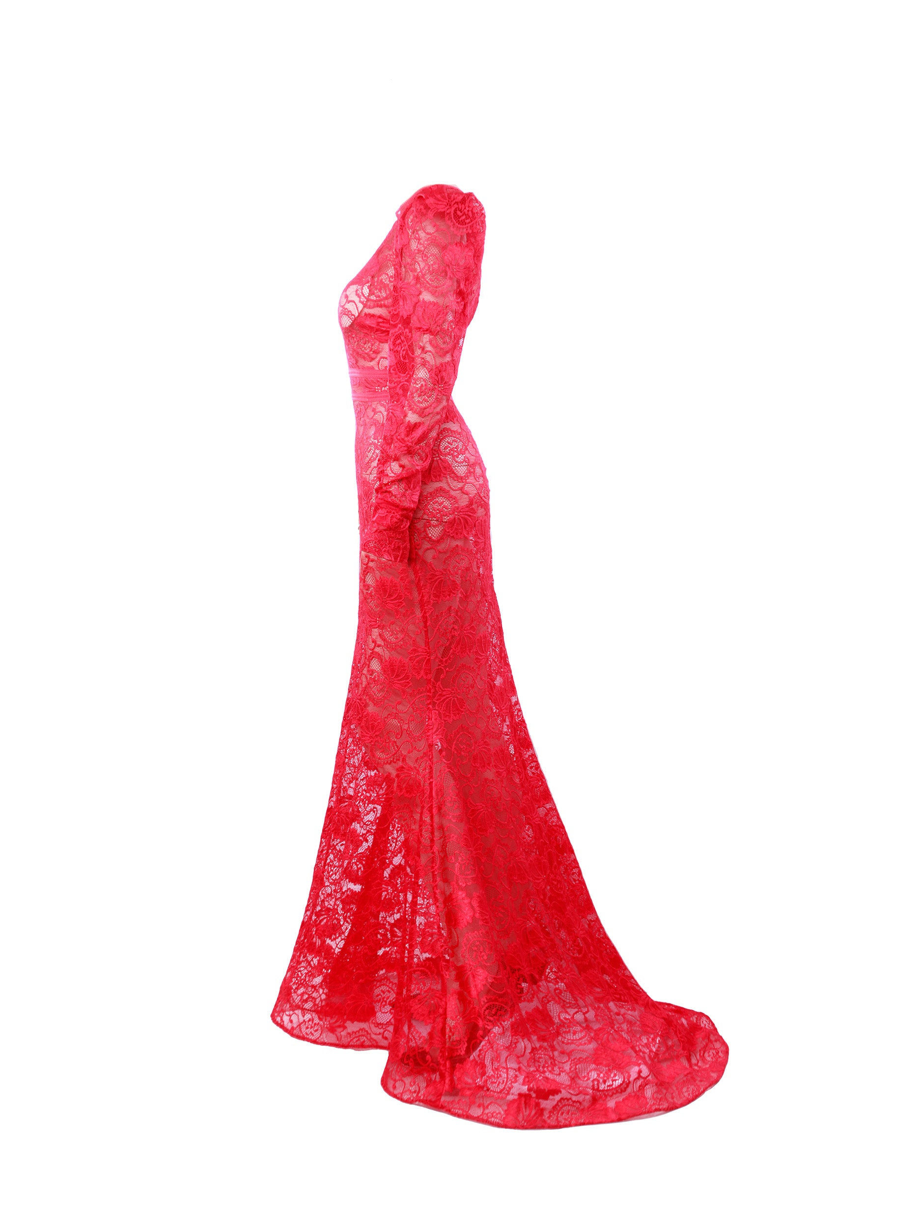 Basic Evening Lace Semi Sheer Mermaid Style Dress