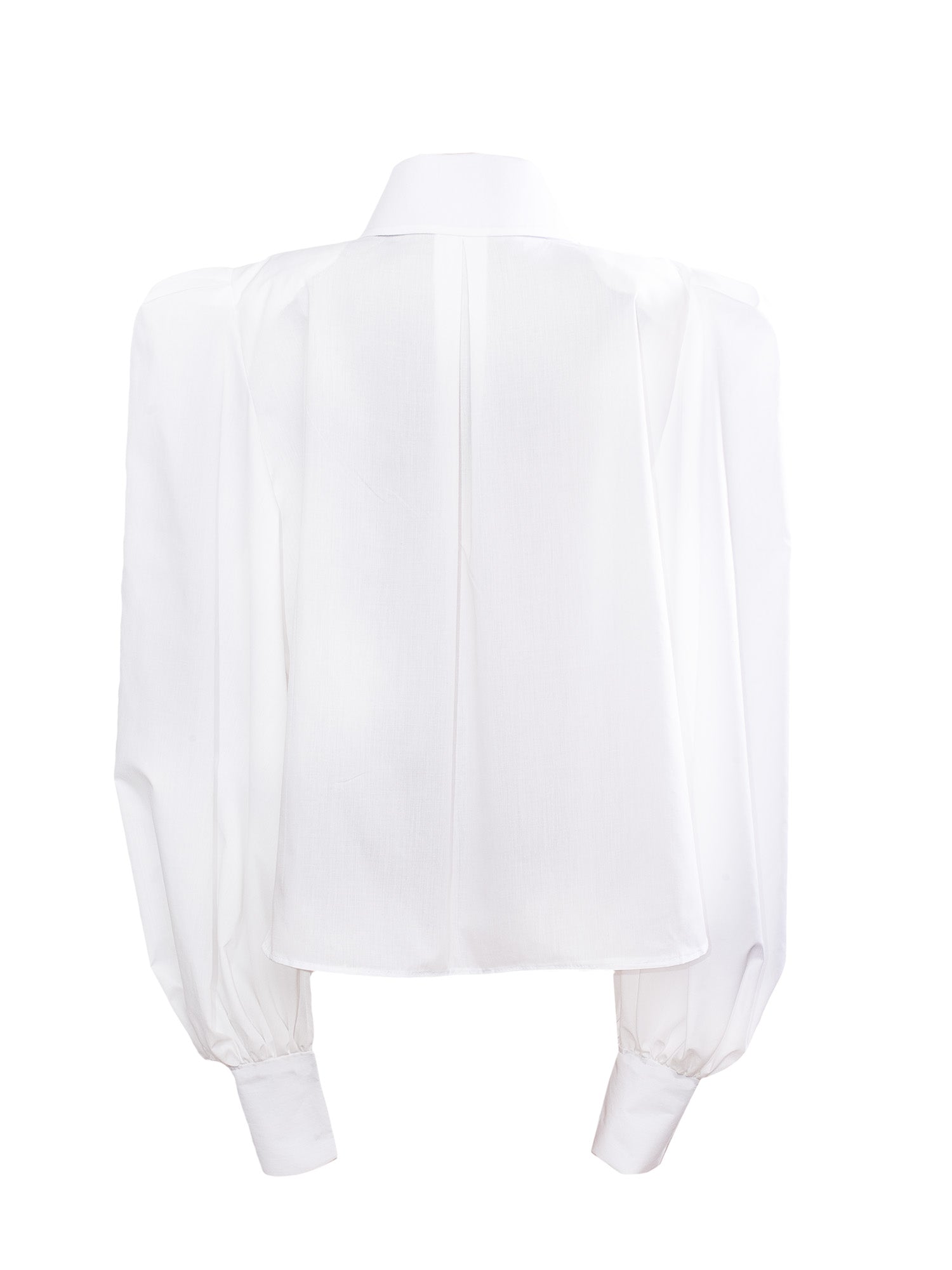 Large Pointy Collar Statement Sleeves Shirt