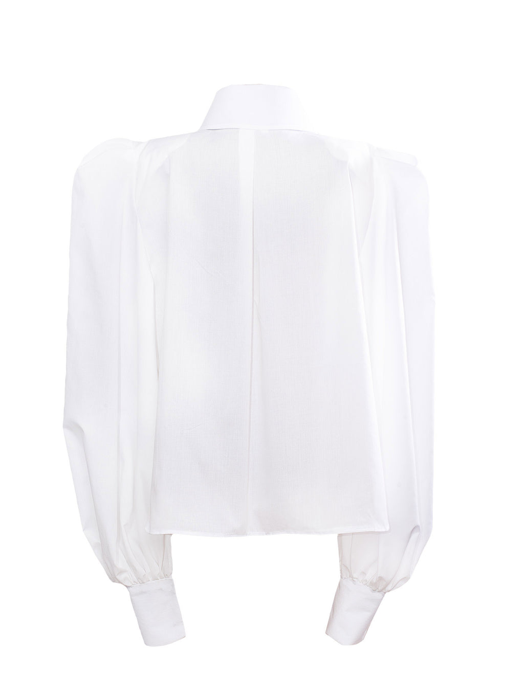 Phyliss Pointy Collar Statement Sleeves Shirt