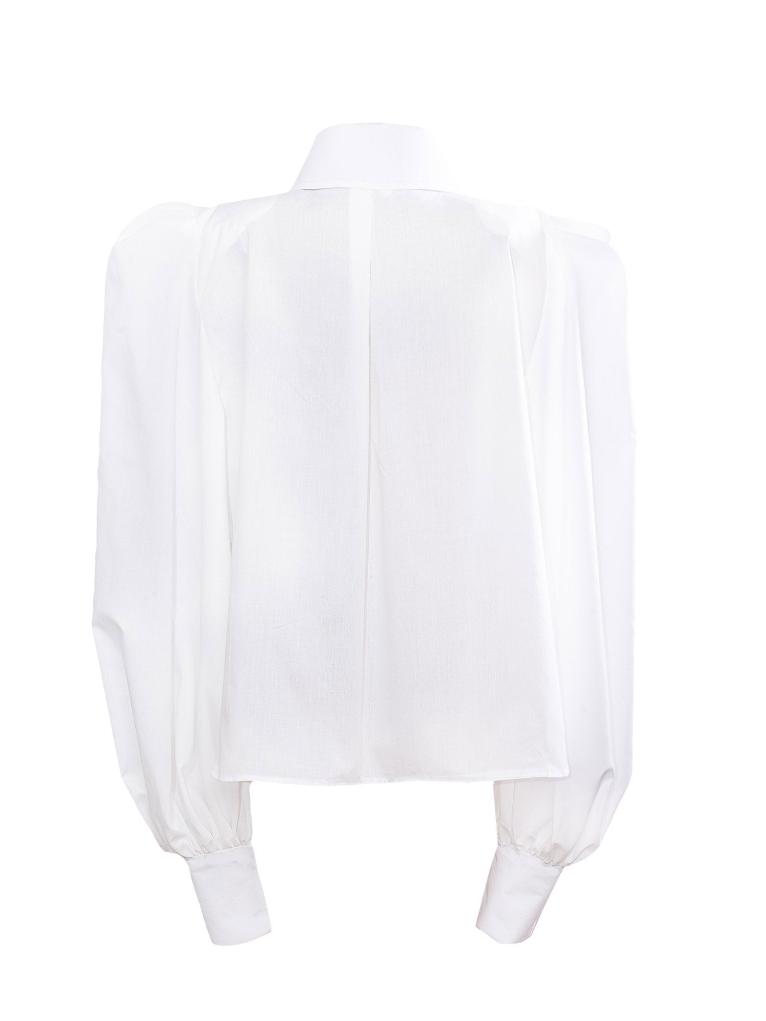 Phyliss Pointy Collar Statement Sleeves Shirt