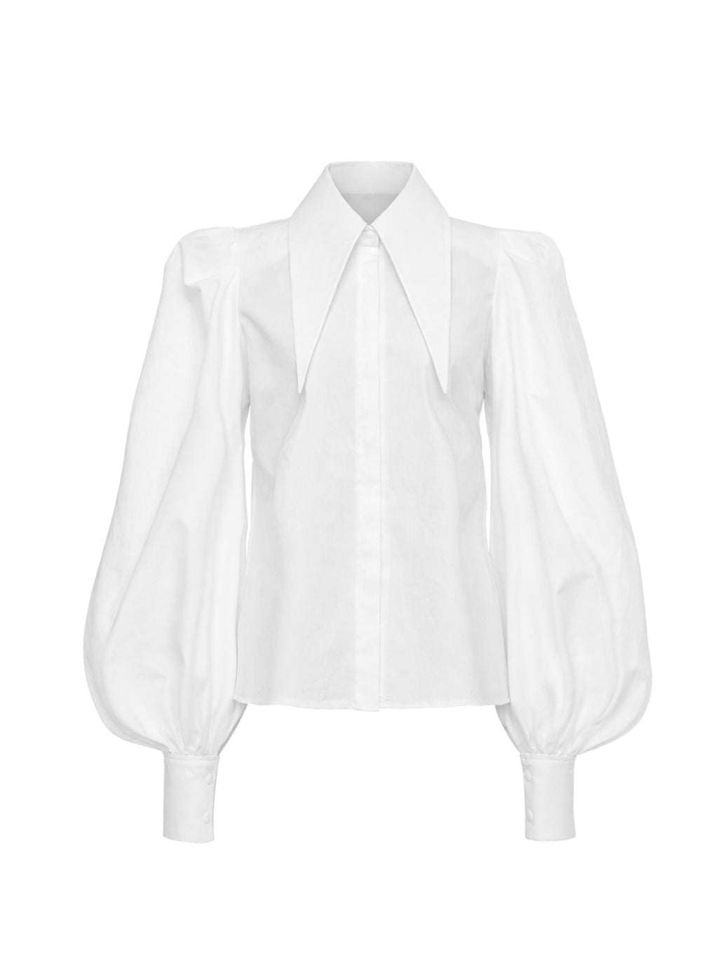 Phyliss Pointy Collar Statement Sleeves Shirt