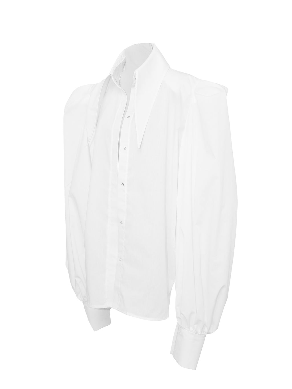 Large Pointy Collar Statement Sleeves Shirt