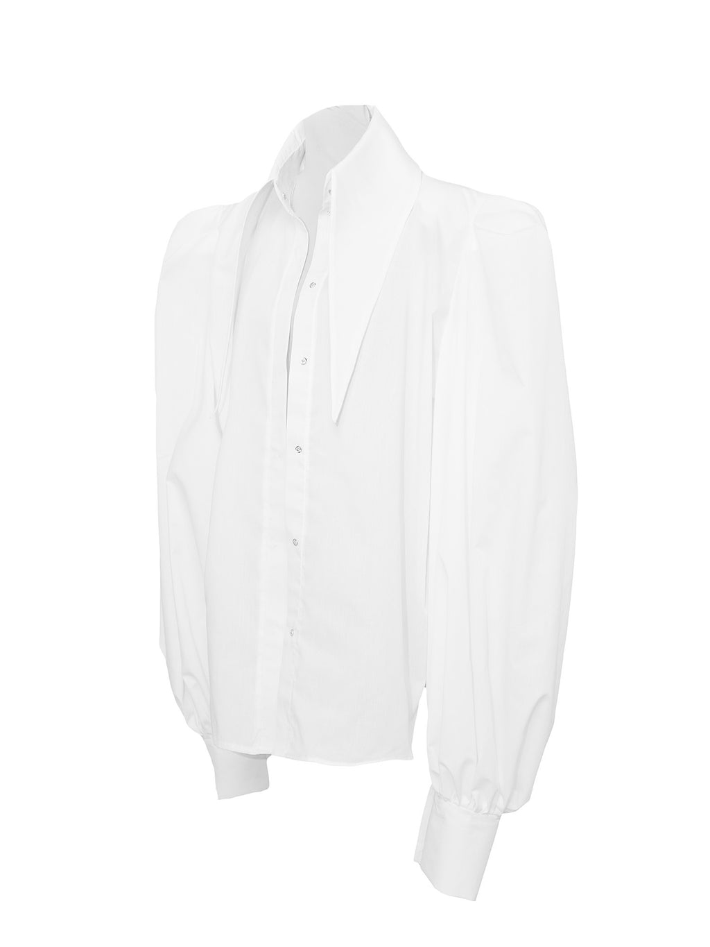 Phyliss Pointy Collar Statement Sleeves Shirt