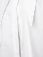 Phyliss Pointy Collar Statement Sleeves Shirt